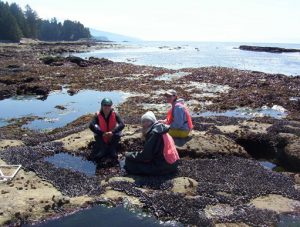 Photo: Emily Carrington