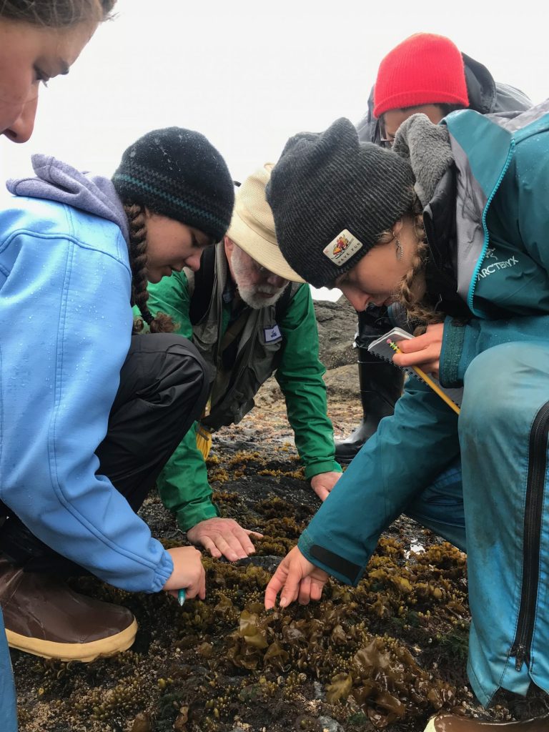 Marine Zoology, Marine Botany, and Research in Marine Biology 2021