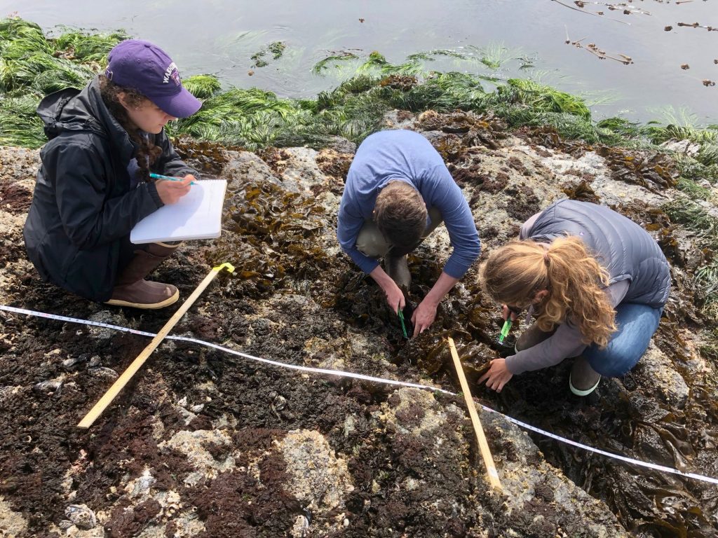 Marine Zoology, Marine Botany, and Research in Marine Biology 2020