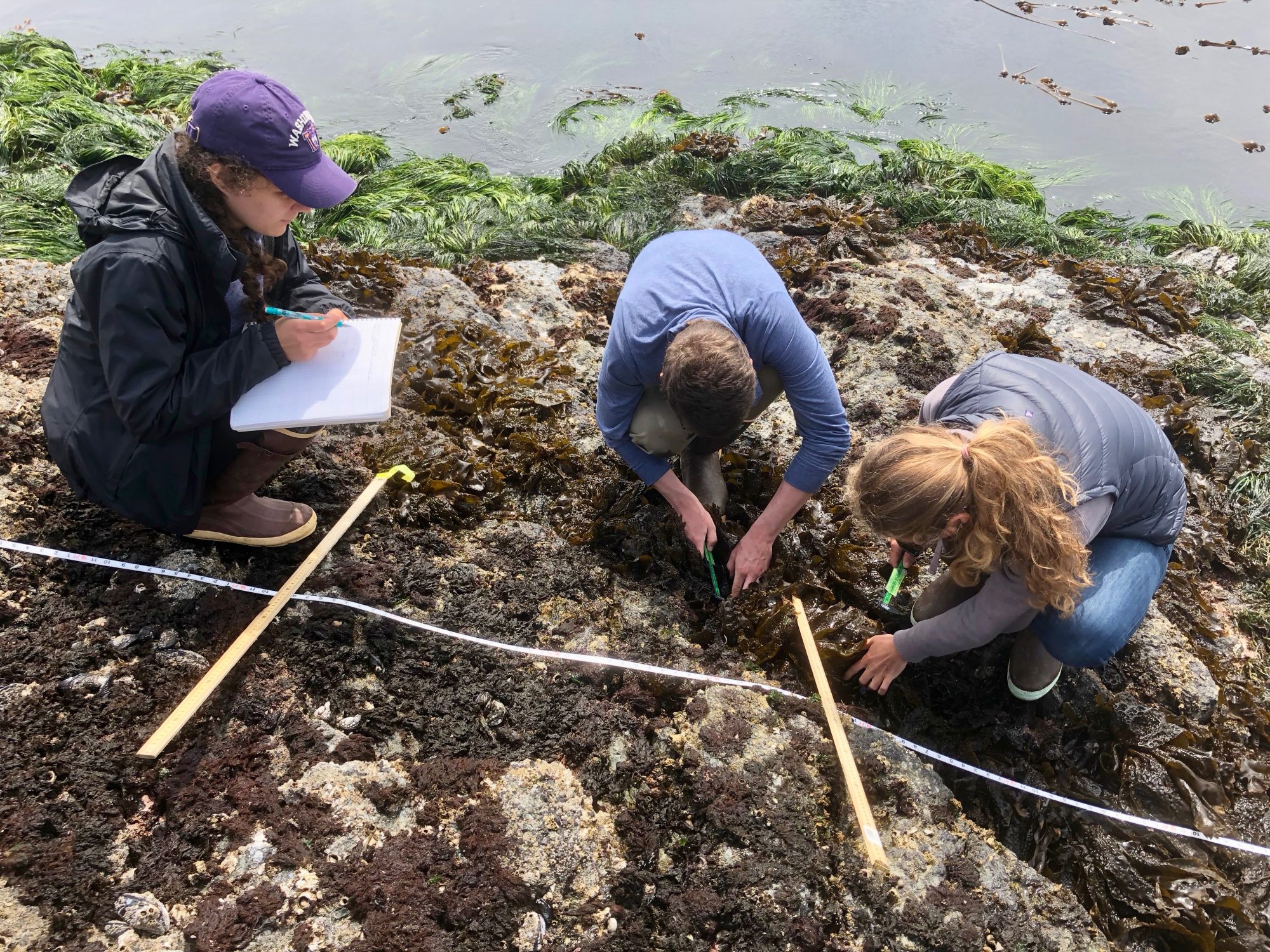 Marine Zoology, Marine Botany, and Research in Marine Biology 2020