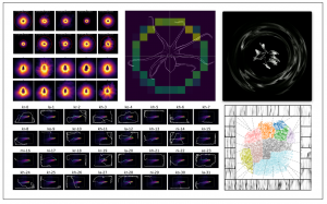 Variety of images showing predictive models and scans of octopus