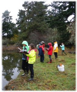 SSIS 7th graders in the field.
