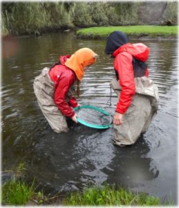 SSIS 7th graders collecting BMIs.