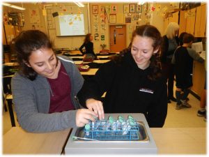 7th graders work on DNA extraction.