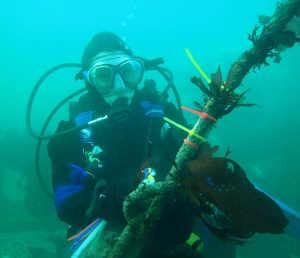 Fig. 4: Brooke Weigel installing a temperature sensor near the bottom of Puget Sound via SCUBA in February 2021. Photo Credit: Will Love.