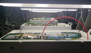 Fig. 4: Tanks in the OAEL being used to test the effects of chemical modification by habitat-forming species on the response of juvenile marine mussels to ocean acidification.