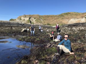 Students sit along the intertidal zone.