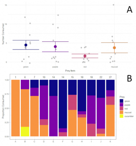 Fig. 3: Sunflower star feeding choices including A) mean consumption of prey (urchins: green, purple, red, and mussels) per individual star, and B) proportional contribution of prey items to individual sunflower star consumption with stars labeled A through K, and numbers above columns indicating the total number of prey items consumed by each star during the experiment. Only a single cucumber was consumed over the course of all trials.