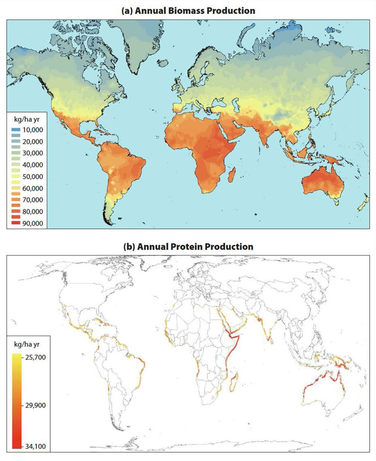 Fig. 3: a) Global map of potential onshore marine microalgae biomass production based on annual incoming solar radiation data and a validated growth model. b) Global map of potential onshore marine microalgae protein production with constraints set by additional environmental criteria, including topography and access to seawater (from Greene et al. 2022).