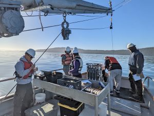 Apprentices aboard Kittiwake.