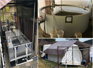 Flume experiment design