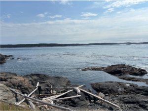 San Juan Island beach
