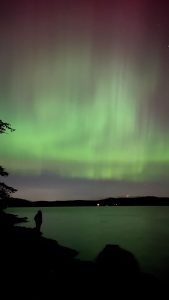 A silhouette of a person looking at an array of green and purple northern lights over the harbor