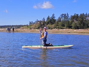 The article author kneels on a paddleboard from which they look after students who are snorkeling, in case students need assistance.