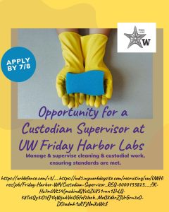 A pair of gloved hands holds a blue sponge. Text advertises a Custodian Supervisor job at UW Friday Harbor Labs with an application deadline of July 8.
