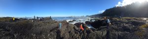 Panorama of 2026 ZooBot class on rocky intertidal looking out on high wave energy water
